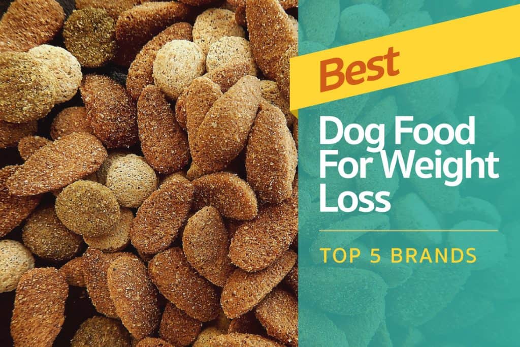 Best-Dog-Food-For-Weight-Loss-Top-5-Brands