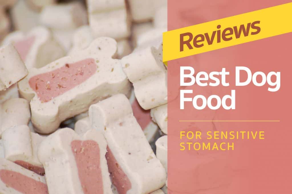 Reviews-Best-Dog-Food-For-Sensitive-Stomach
