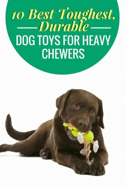 Durable Dog Toys For Heavy Chewers