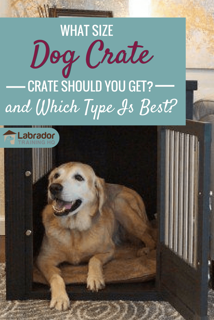 What size dog crate and which type of dog crate should you buy? With so many options, it can be overwhelming. This article will help you decide.