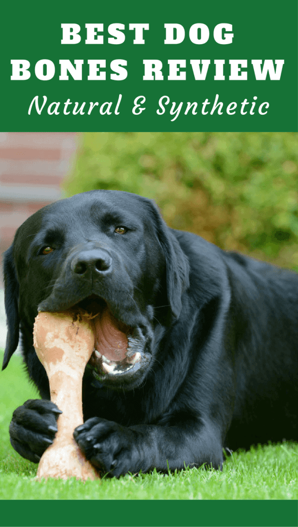 Dogs love bones, but not all are created equal, or are even safe. Discover the best dog bones in our latest roundup including safety and buying advice.