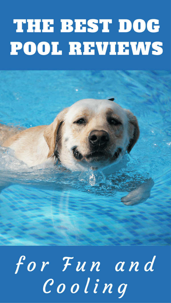 In hot weather, many dogs like to take a dip. Labradors? Well, in any and all weather! Find here some great value, well-featured pools for your pooch.