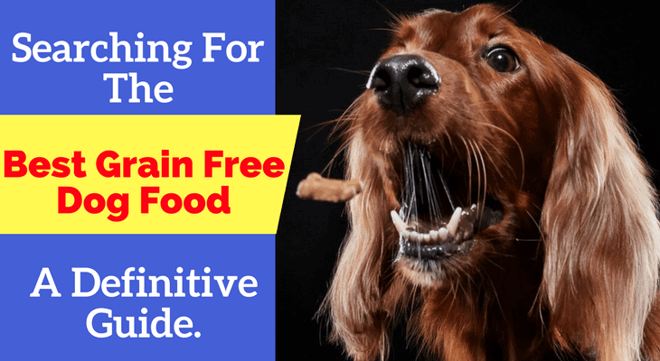 best grain free dog food