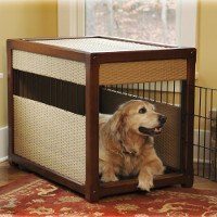 Labrador dog inside kennel or crate