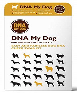 DNA My Dog Breed Identification Test Kit