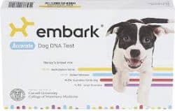 Embark Breed & Ancestry Identification, Trait & Health Detection Dog DNA Test Kit