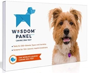 Wisdom Panel Health Breed & Health Identification DNA Test Kit