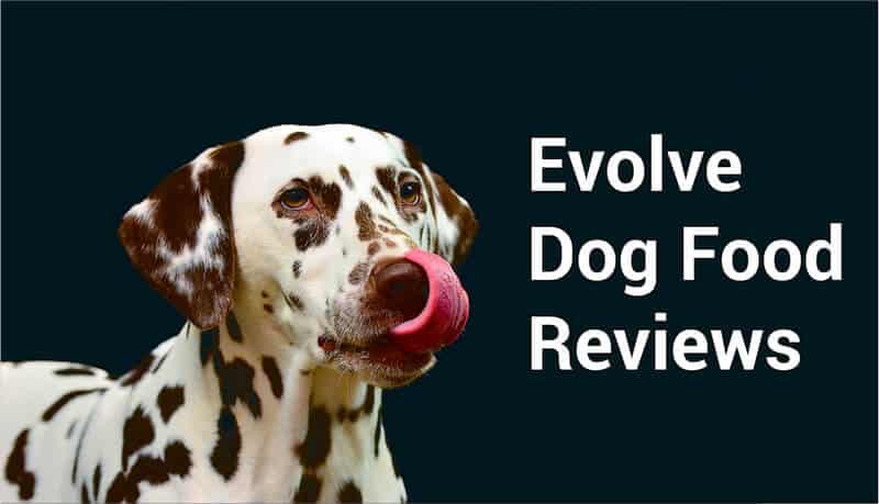 Evolve Dog Food Reviews