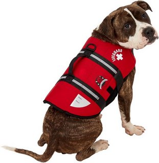 Paws Aboard Neoprene Jacket