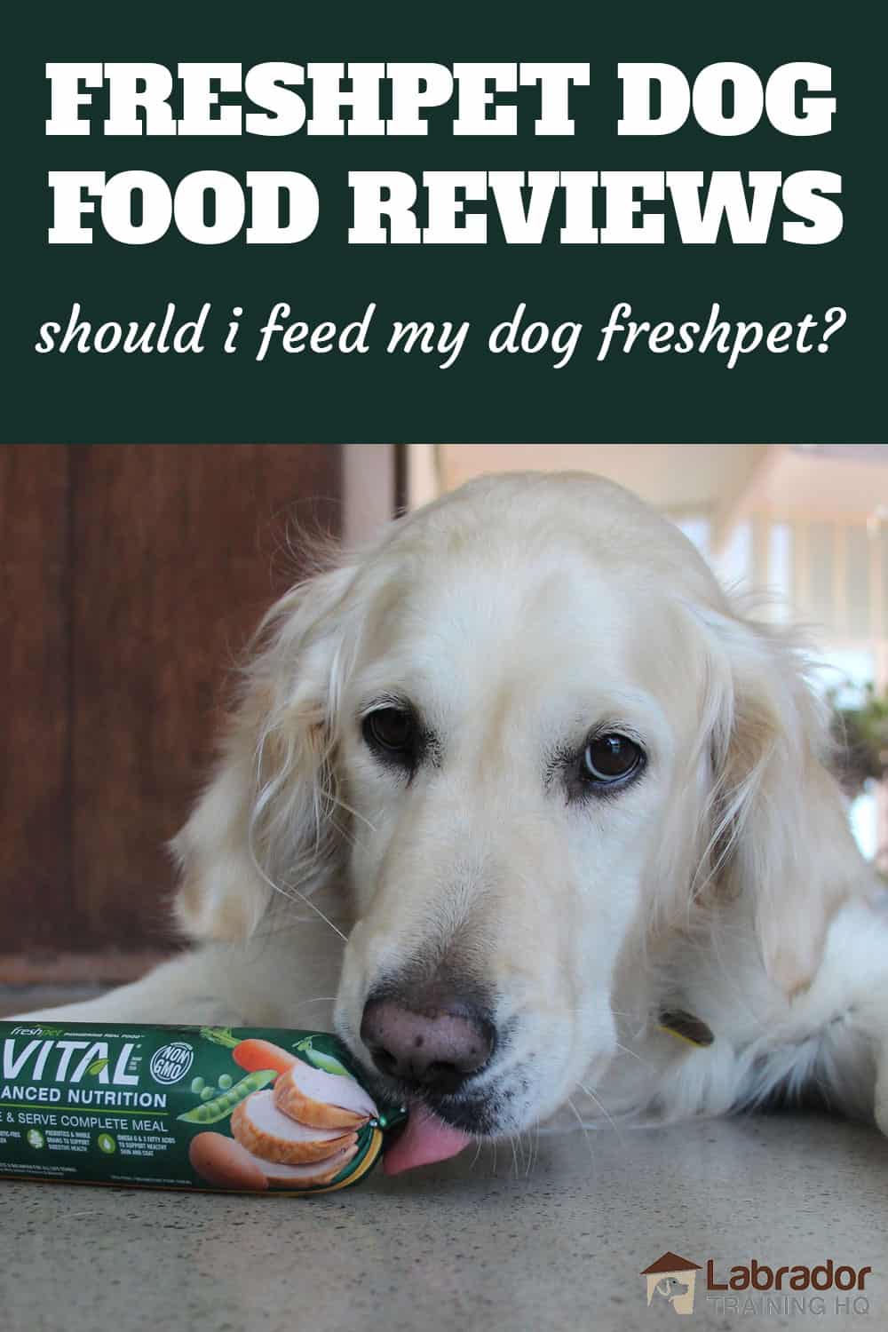 Freshpet Dog Food Reviews - Should I Feed My Dog Freshpet - Golden Retriever licks at Freshpet food roll