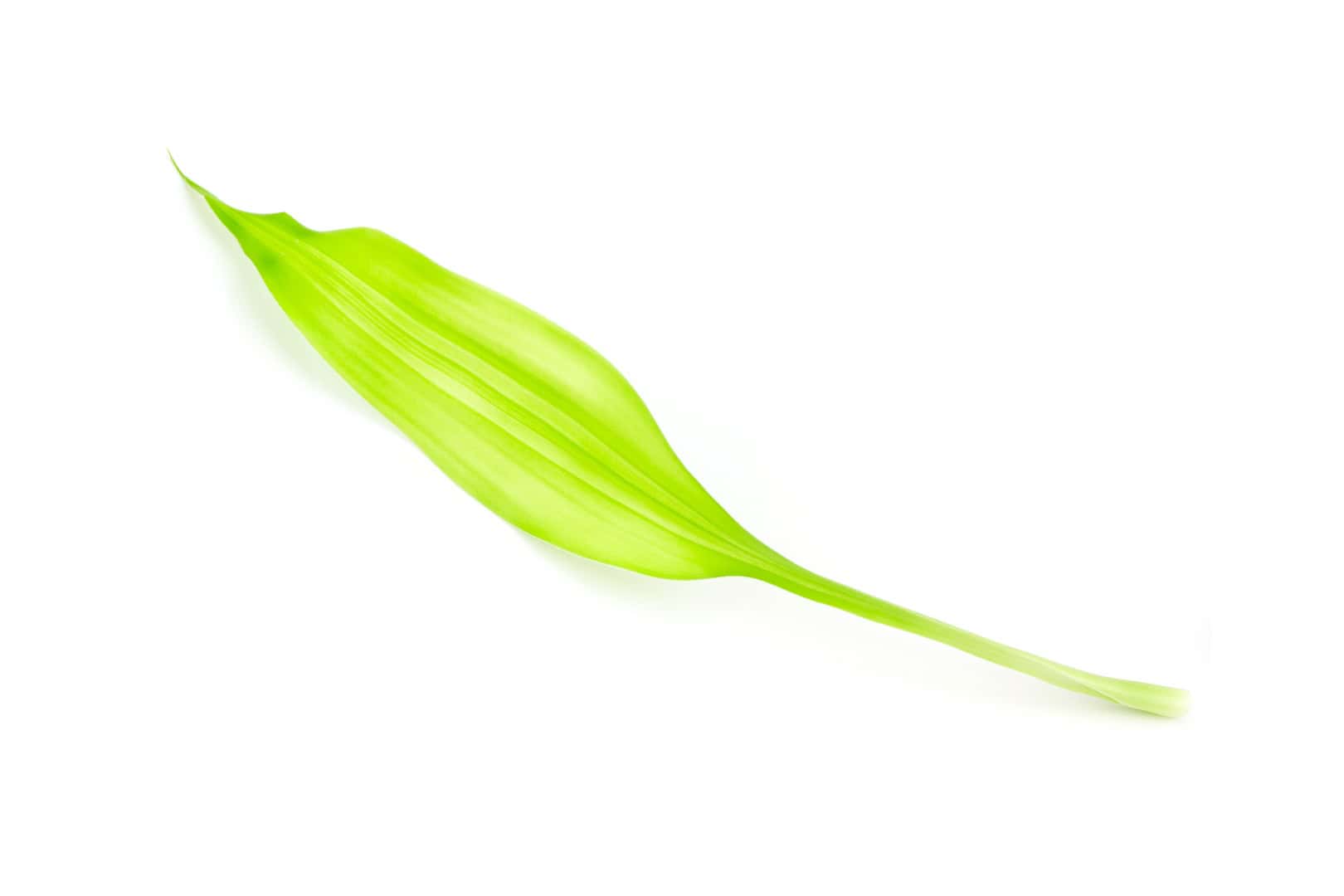 Biostimulation in Wien zur natürlichen Hautstraffung und Kollagen-Aktivierung bei Dr. Karin Lewinsky