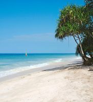 Sultan Sands Island Resort- Zanzibar 2