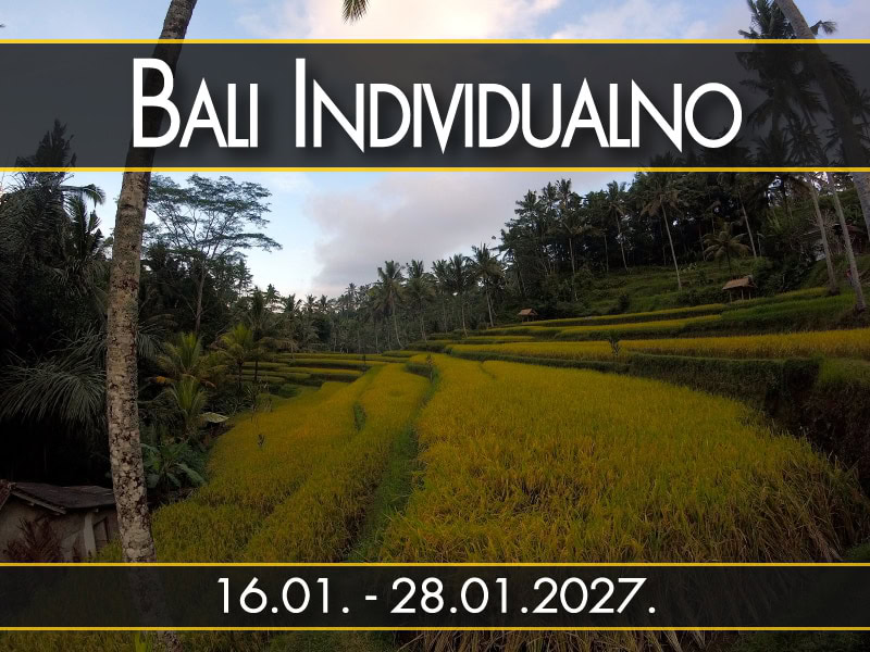 Bali Individualno, polazak 16.01. - 28.01.2027.: Pirincane terase, palma u prvom planu