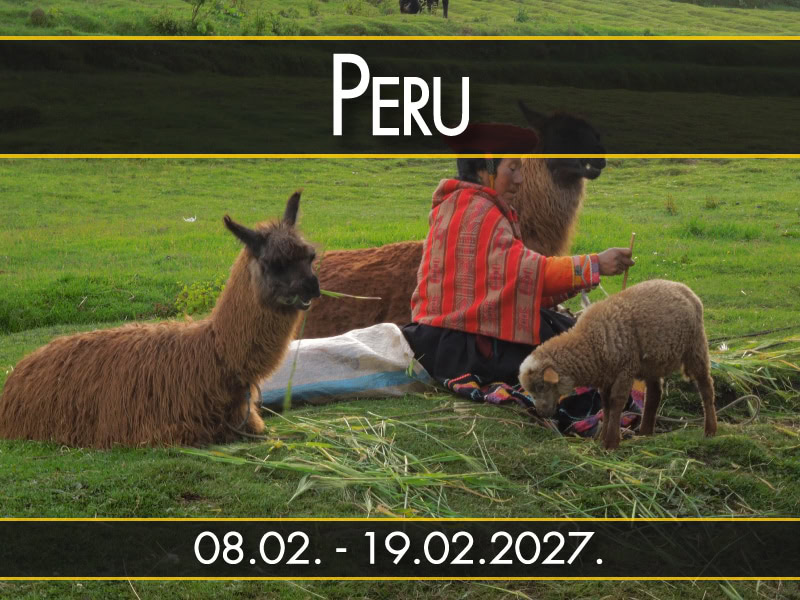 Peru, polazak 08.02. - 19.02.2027.: Žena u nošnji sa lamama, leđima ka kameri