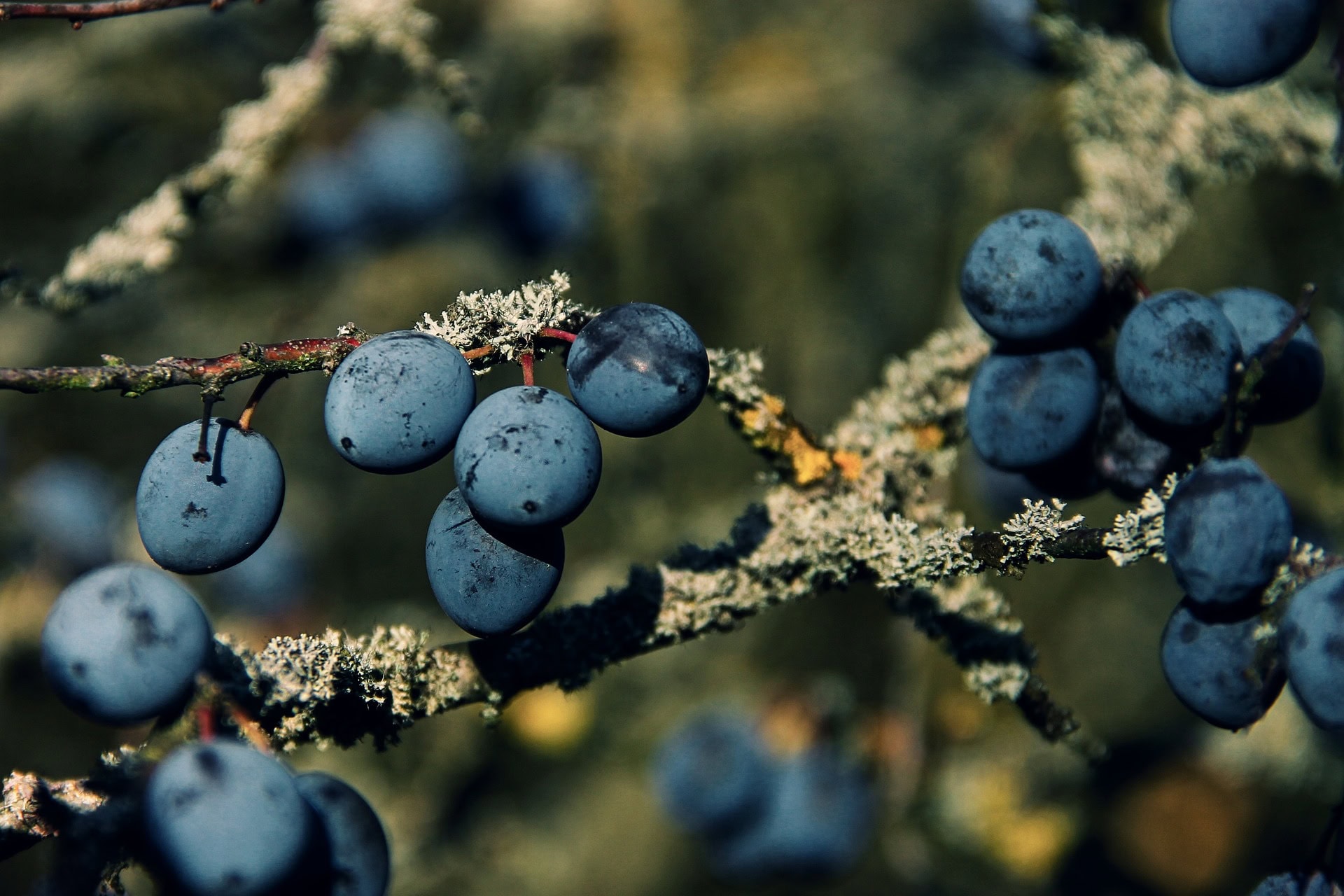 20.12.25 – Winterwanderung