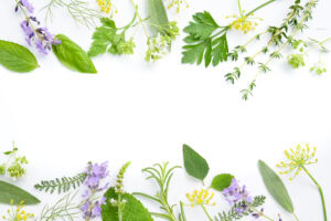 naturopathie herbes médicinales