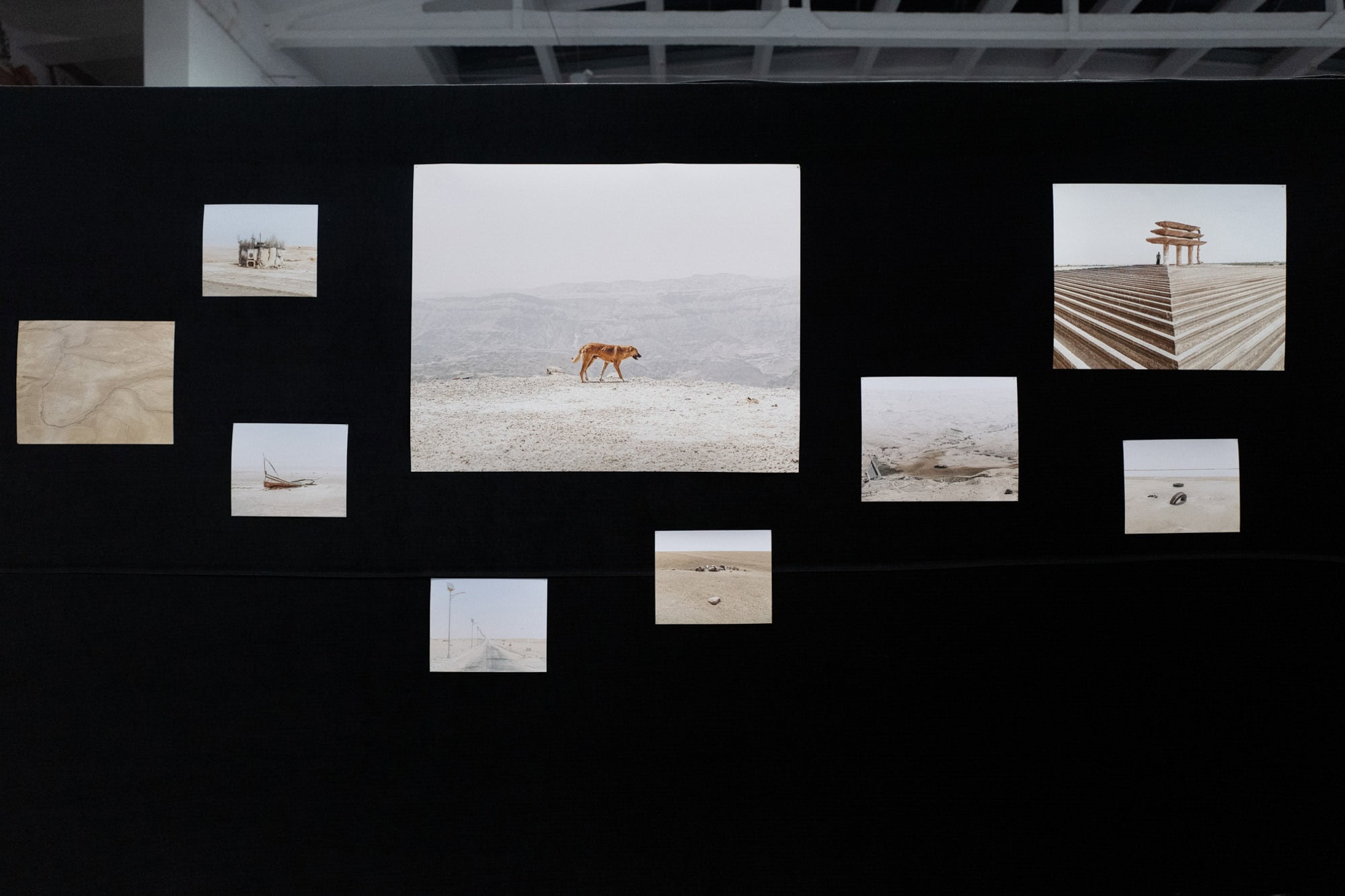 Białystok INTERPHOTO 2024