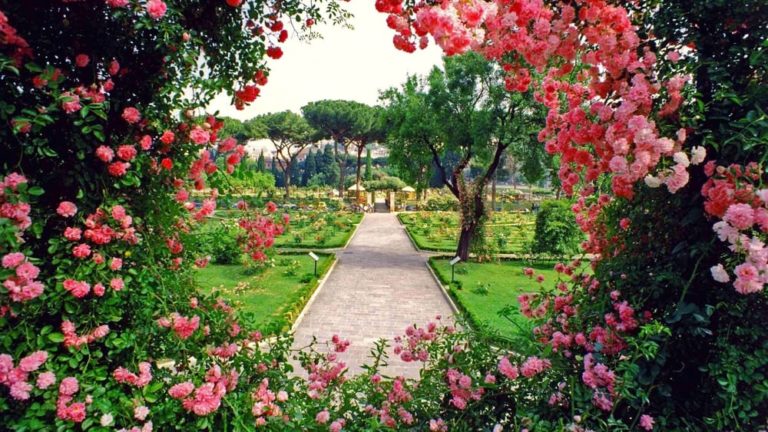 ROSETO COMUNALE di roma