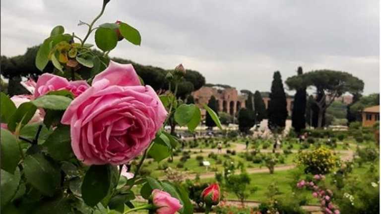ROSETO COMUNALE