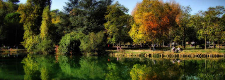 ROMA