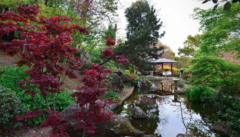 ROMA: riprendono le visite guidate all'Orto botanico!