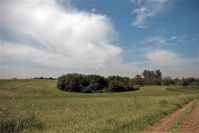 parco