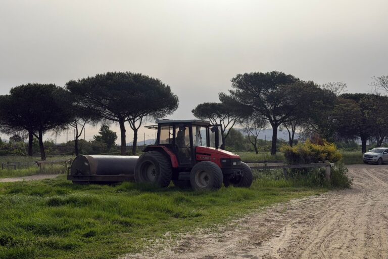 Ippodromo delle Capannelle, iniziati i lavori sulle piste