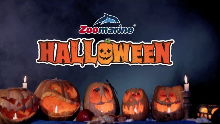 Family Halloween a Zoomarine: spettacoli e Halloween Nights