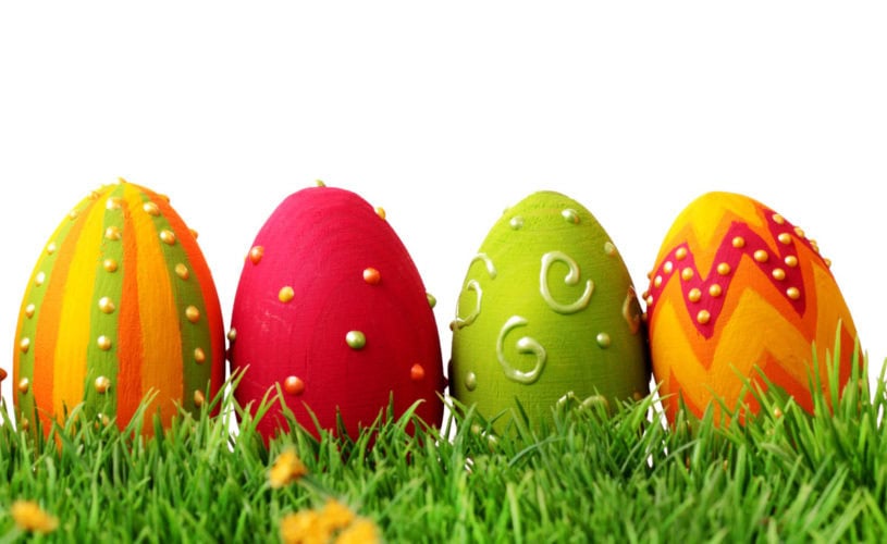 banner capitanio management