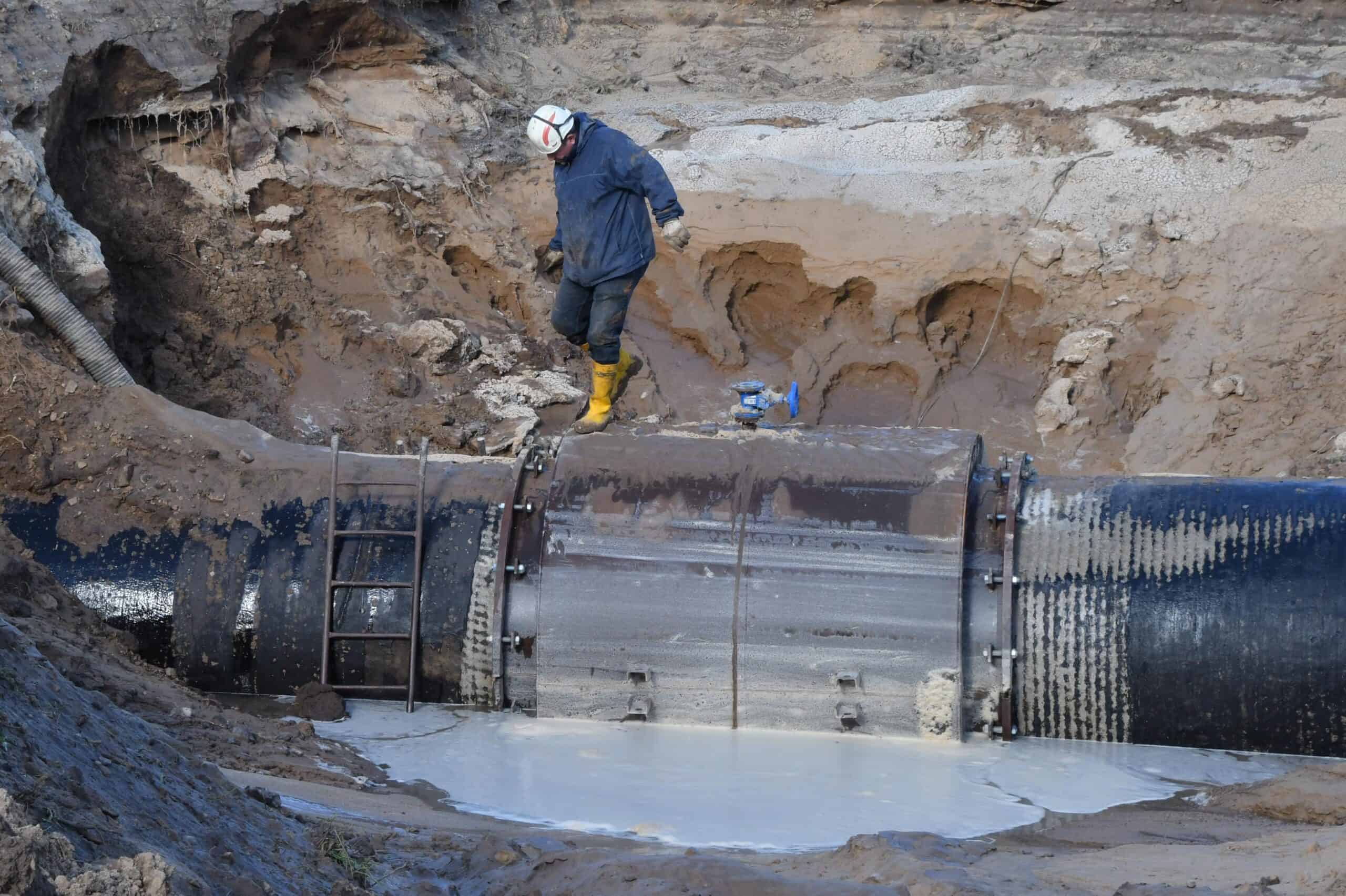 banner capitanio management