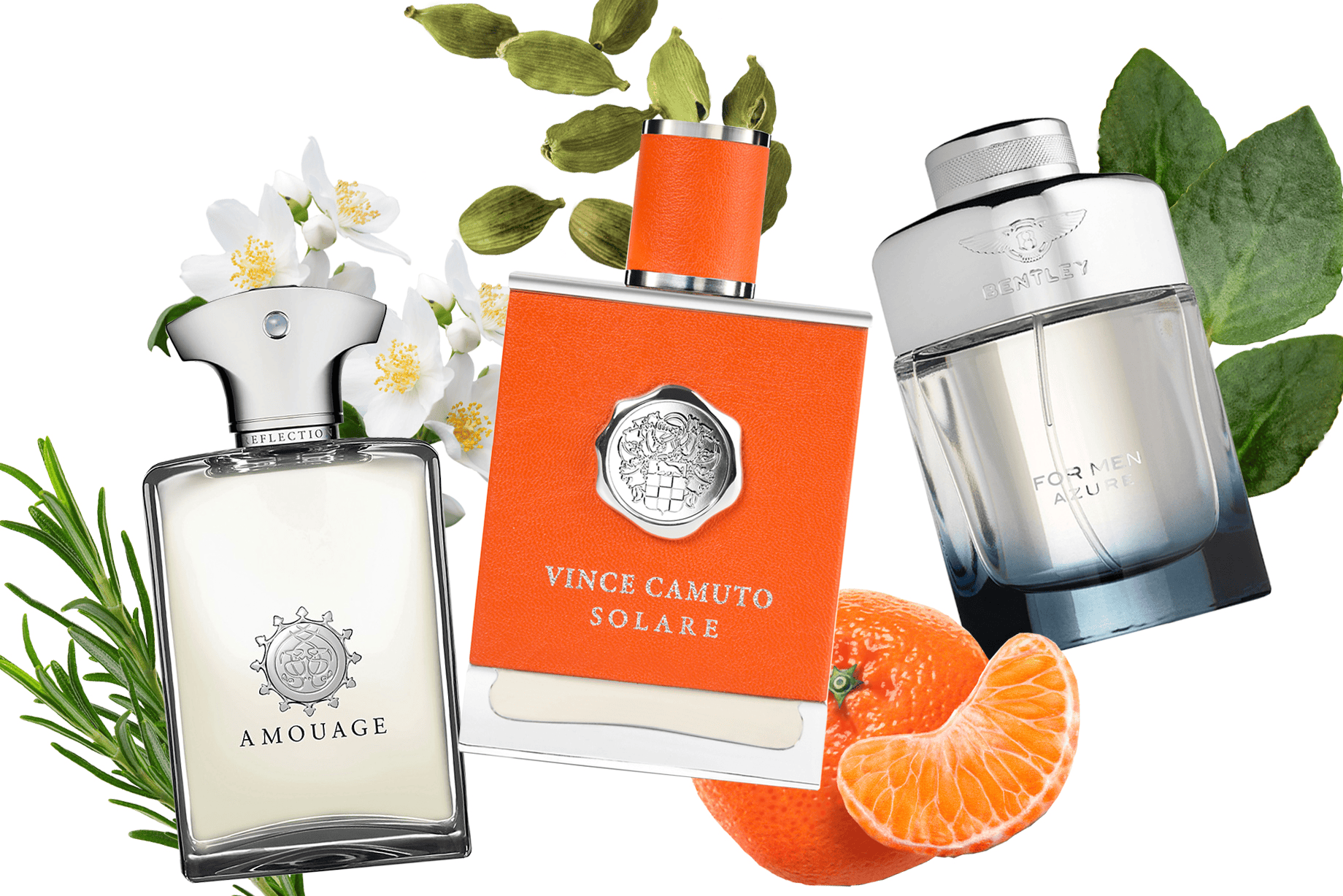 Most expensive best sale cologne on scentbird