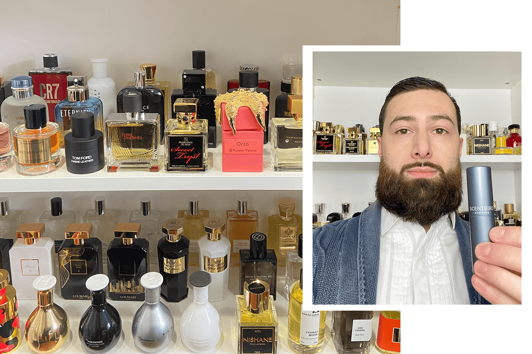 Best colognes on discount scentbird