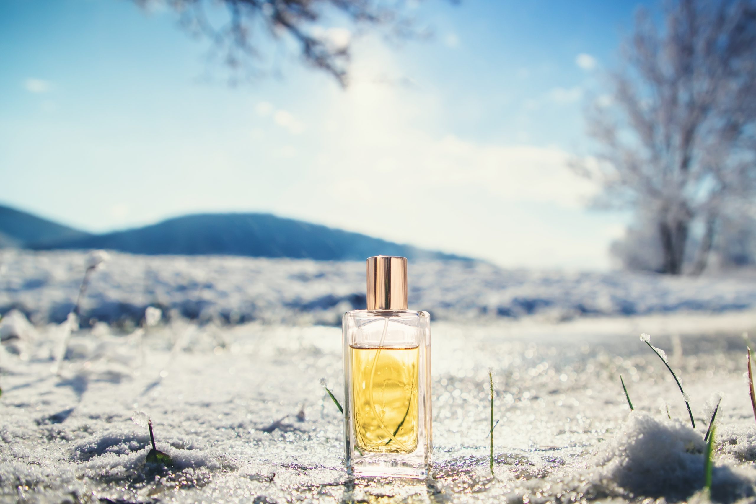 The best winter perfumes for ladies cheap