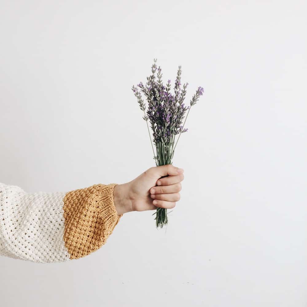 person holding bunch of lavender flowers