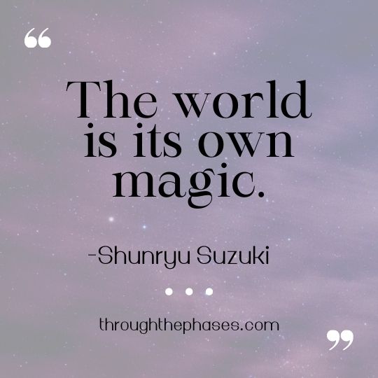 the world is its own magic quote