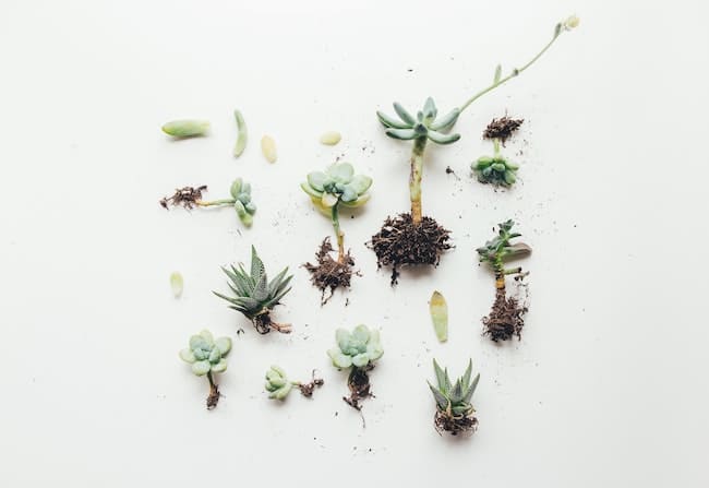 grounding affirmations