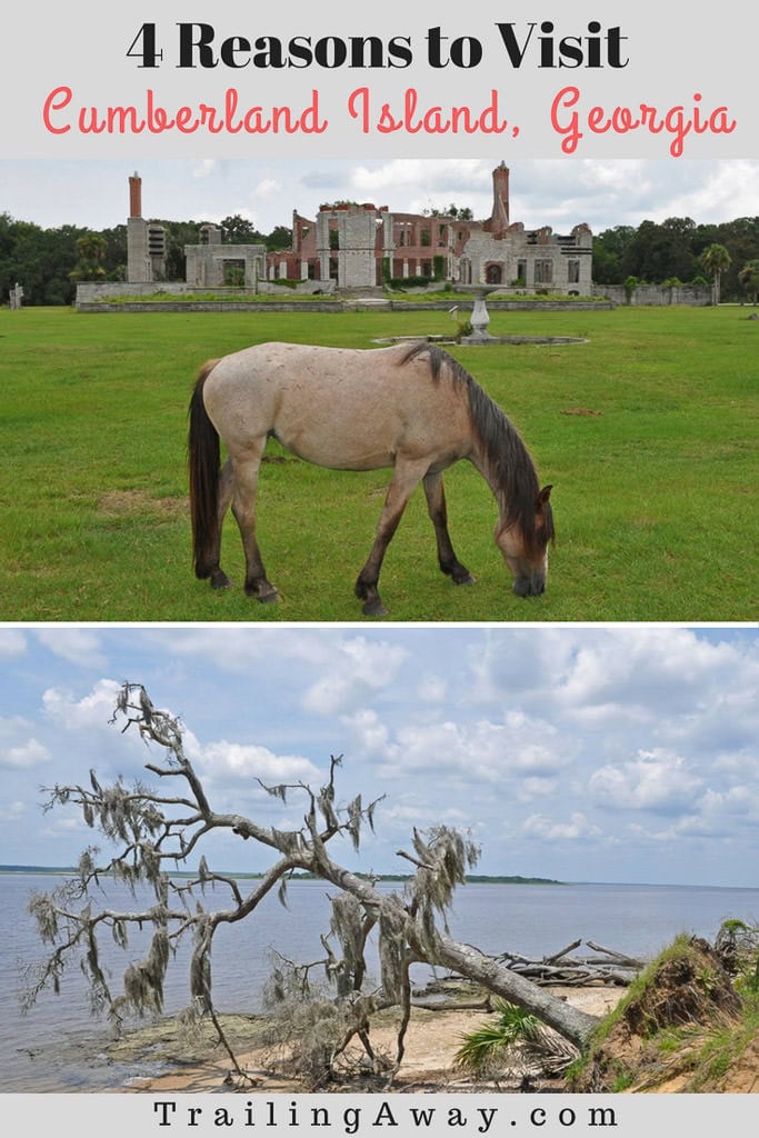 4 Reasons to Visit Cumberland Island, Georgia