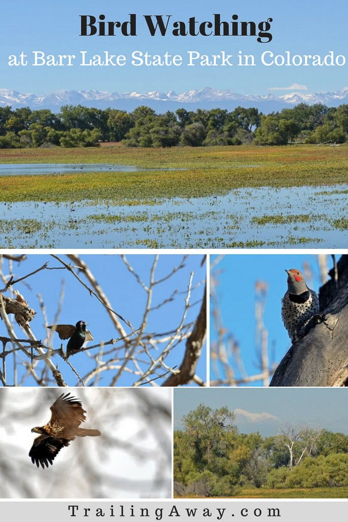 Barr Lake State Park: It\'s for the Birds