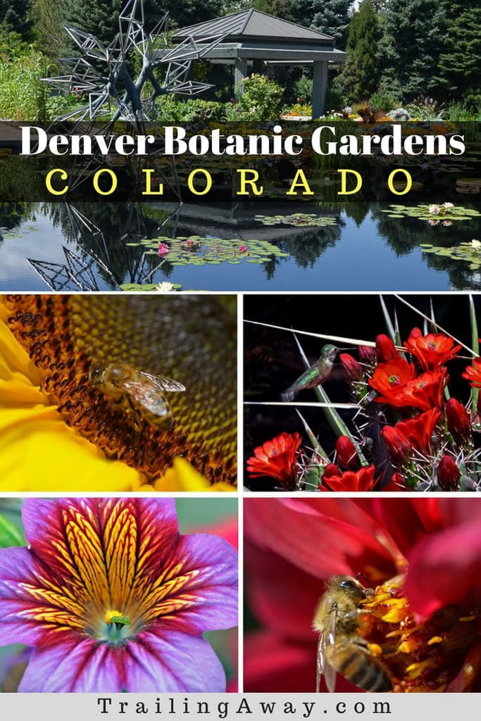 A Picture Perfect Day in Denver Botanic Gardens