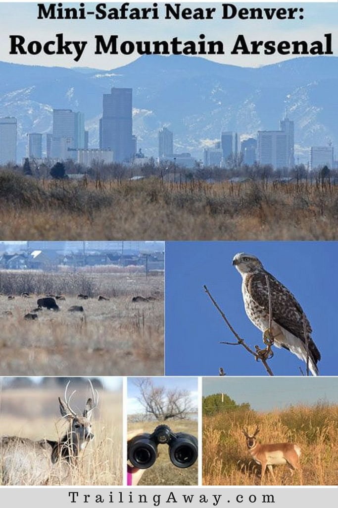 Love Wildlife? Visit Rocky Mountain Arsenal in Colorado!