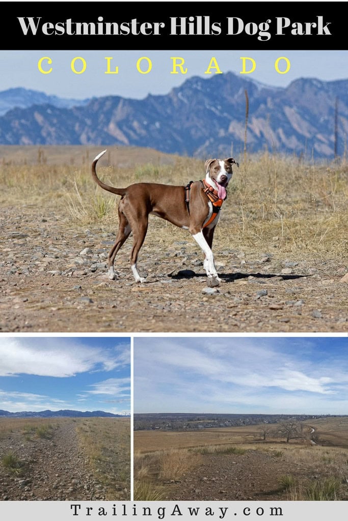 Westminster Hills Dog Park: A Perfect Off-Leash Park!