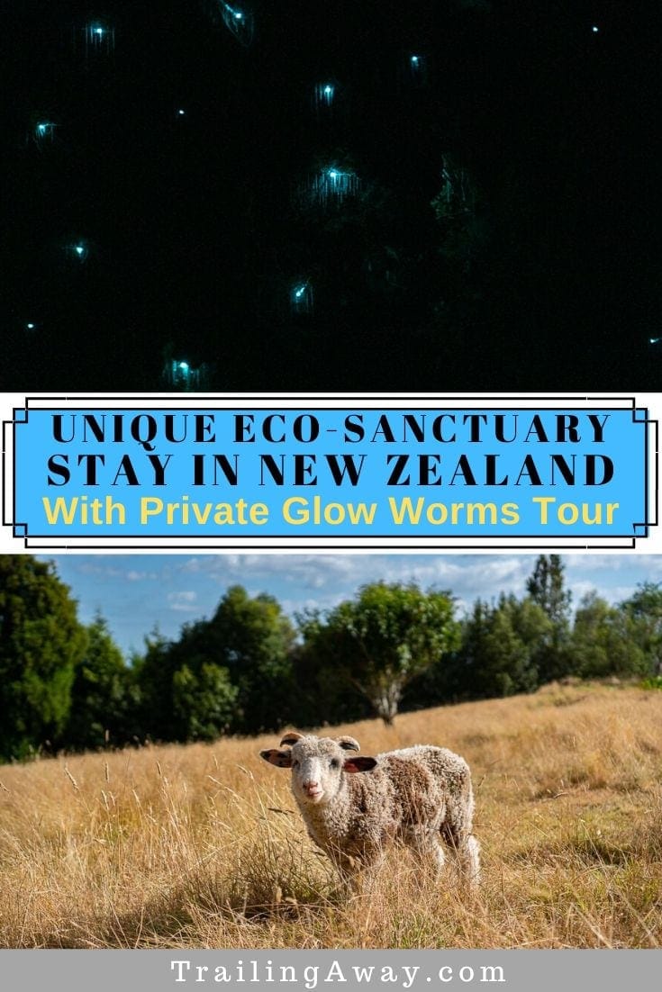 Private New Zealand Glow Worms Tour with Unique Eco-Sanctuary Stay