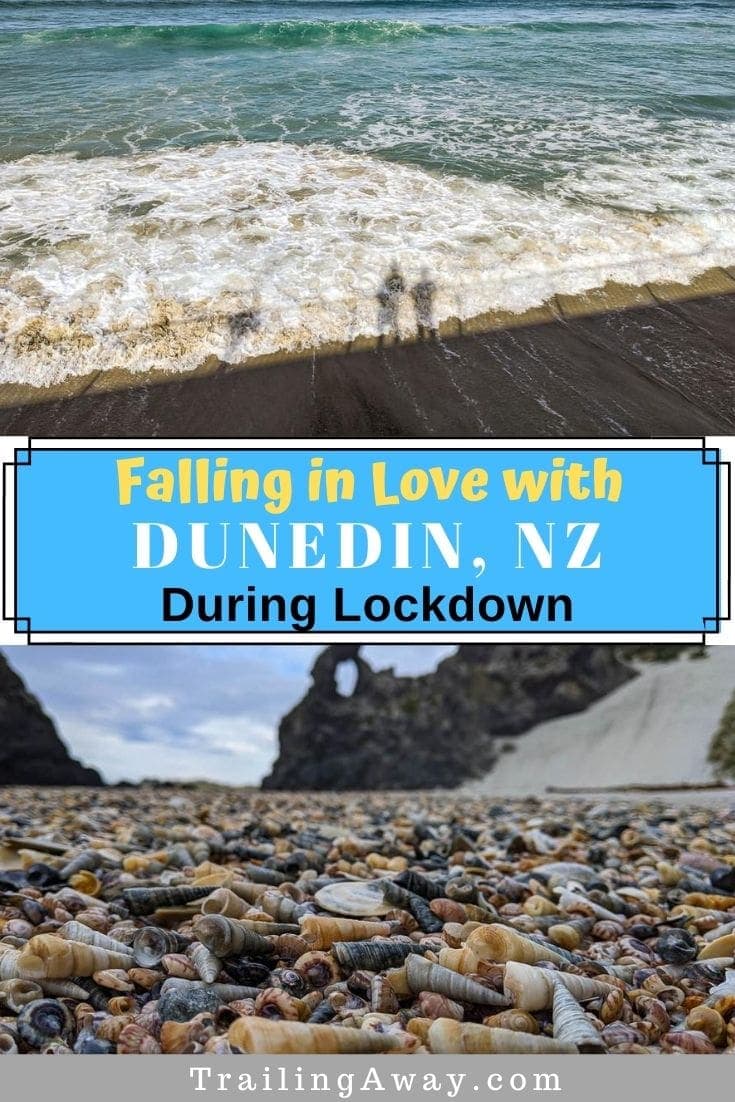 Falling in Love with Dunedin, NZ, During Lockdown