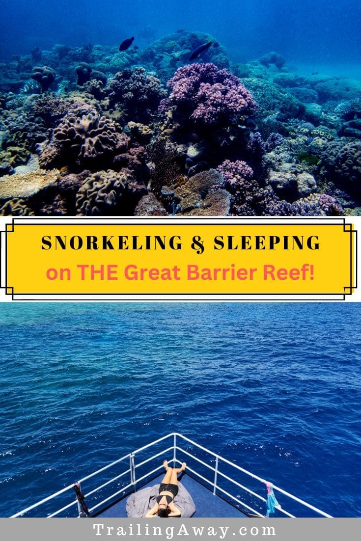 Snorkeling & Sleeping on the Outer Great Barrier Reef with a Diver\'s Den Liveaboard Experience