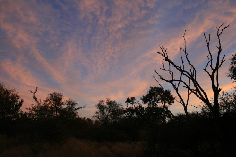 bushveld game walk,Bushveld sunset