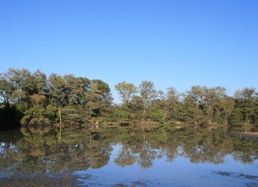 bushveld game walk, dam