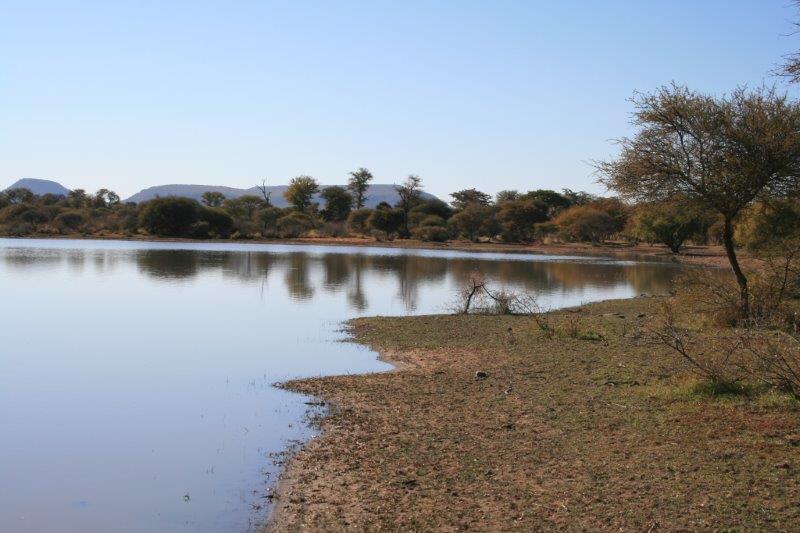 bushveld game walk, Bushveld dam