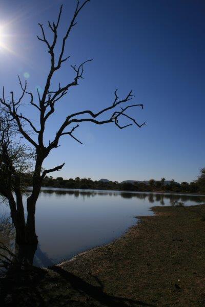 bushveld game walk,Bushveld dam