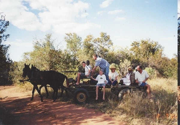 bushveld game walk