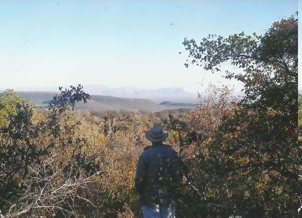 bushveld game walk
